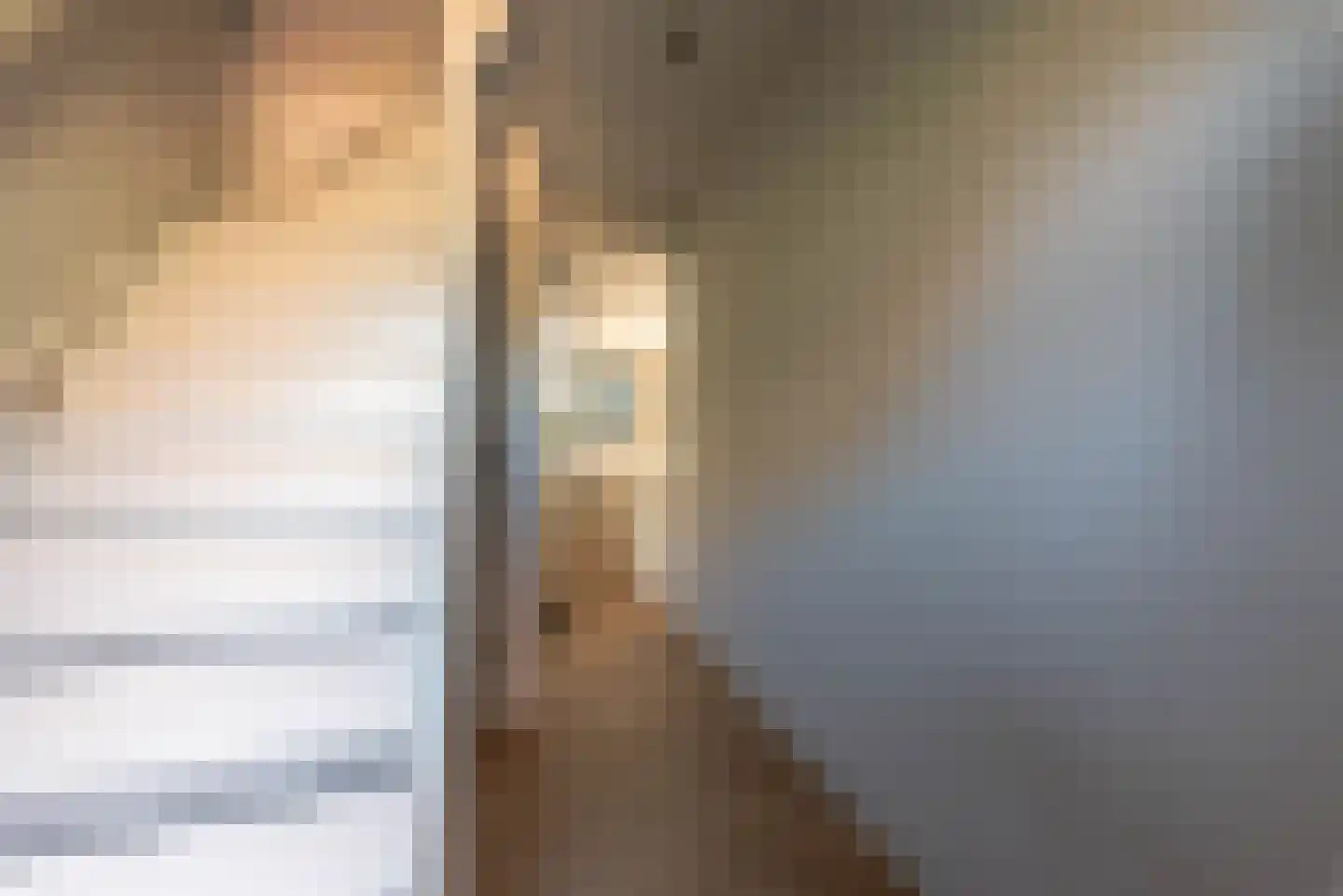 De Schout 8 Laren thumbnail 9