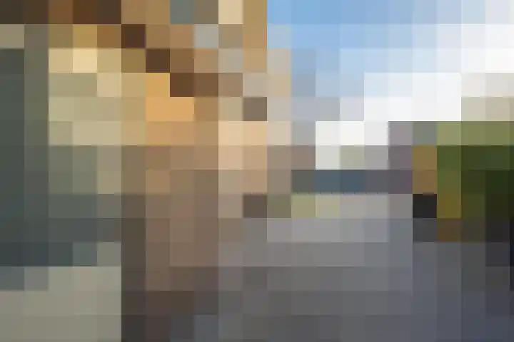 de Schouw 104 Tiel thumbnail 10