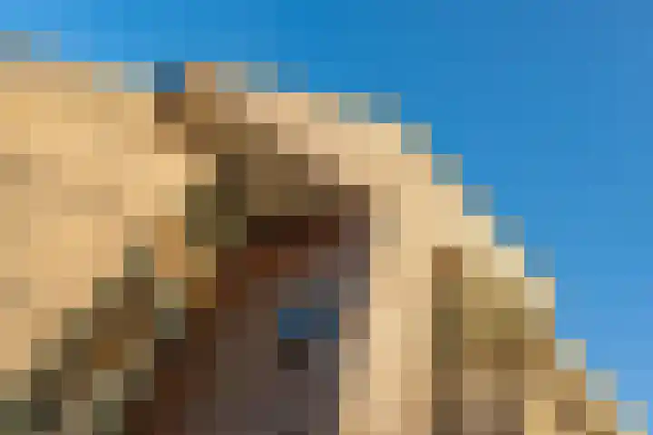 de Schouw 104 Tiel thumbnail 11