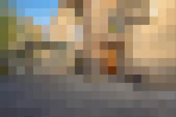 de Schouw 104 Tiel thumbnail 12