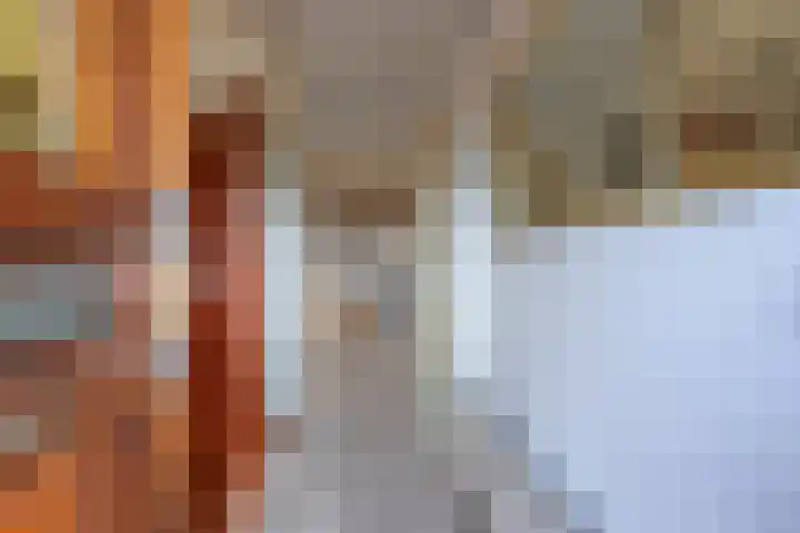 de Schouw 104 Tiel thumbnail 13