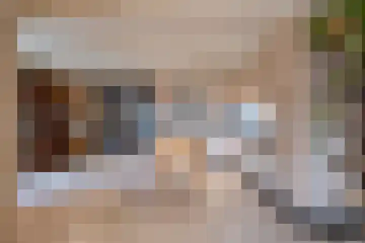 de Schouw 104 Tiel thumbnail 15