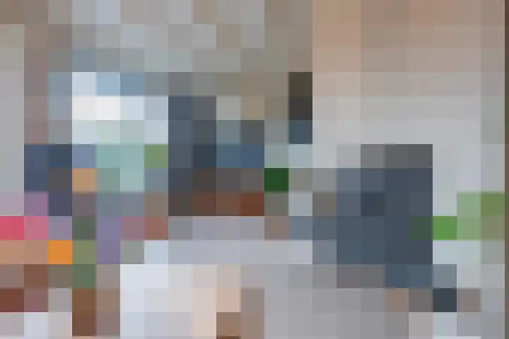 de Schouw 104 Tiel thumbnail 18