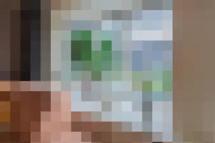 de Schouw 104 Tiel thumbnail 21
