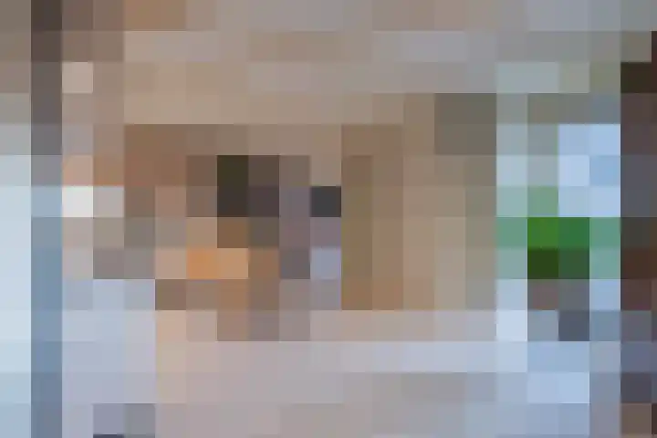 de Schouw 104 Tiel thumbnail 23