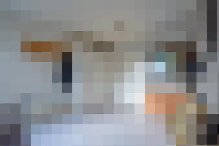 de Schouw 104 Tiel thumbnail 33