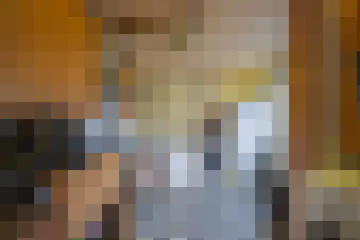 de Schouw 104 Tiel thumbnail 34