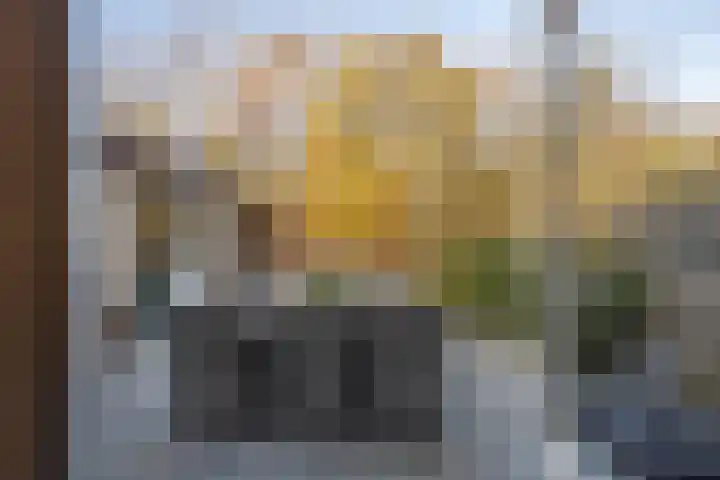 de Schouw 104 Tiel thumbnail 35