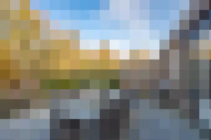 de Schouw 104 Tiel thumbnail 37