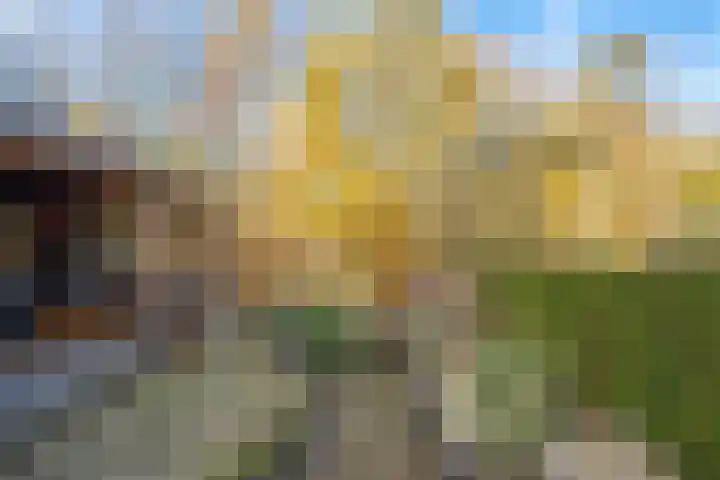 de Schouw 104 Tiel thumbnail 39