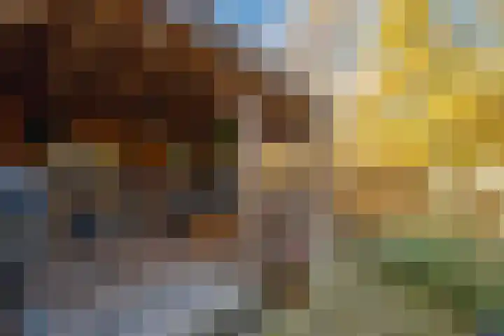 de Schouw 104 Tiel thumbnail 40