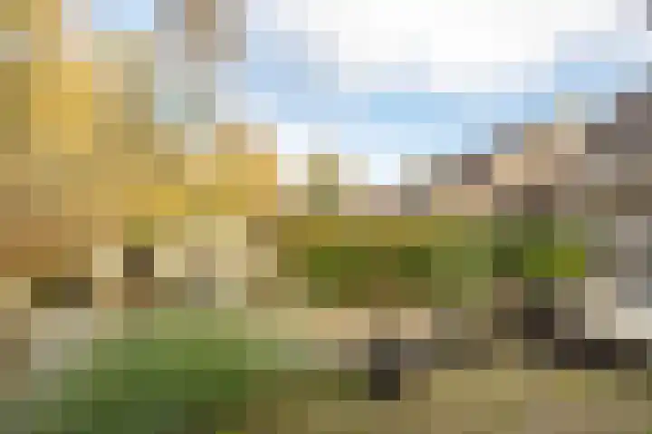 de Schouw 104 Tiel thumbnail 42