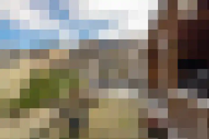 de Schouw 104 Tiel thumbnail 43