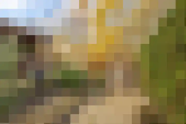 de Schouw 104 Tiel thumbnail 44