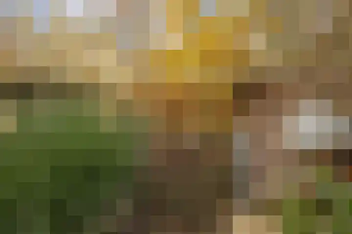de Schouw 104 Tiel thumbnail 45