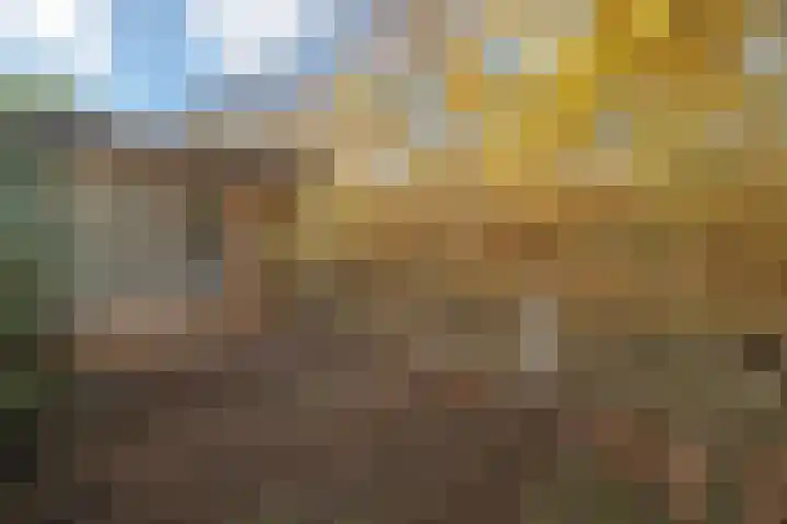 de Schouw 104 Tiel thumbnail 46