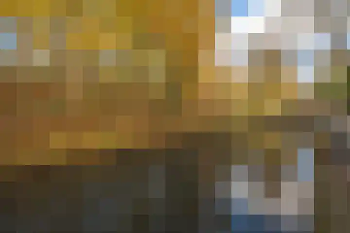 de Schouw 104 Tiel thumbnail 47