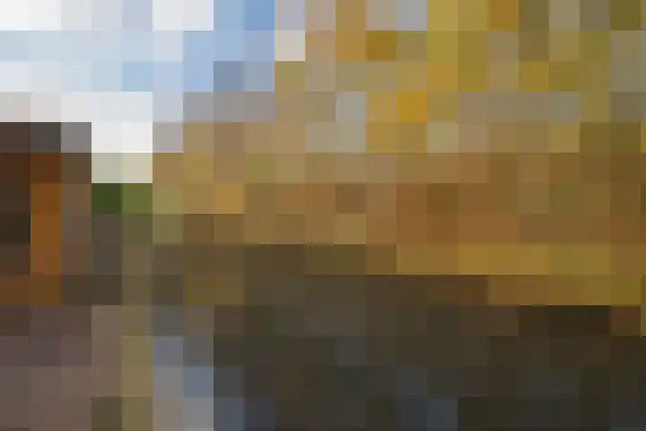 de Schouw 104 Tiel thumbnail 48