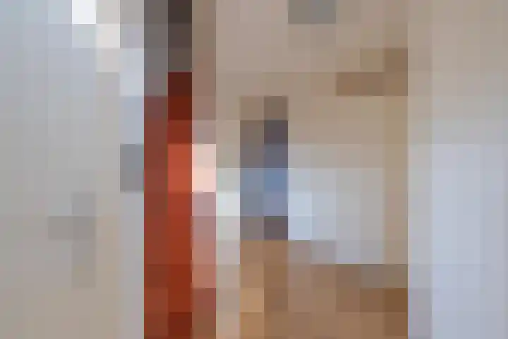de Schouw 104 Tiel thumbnail 51