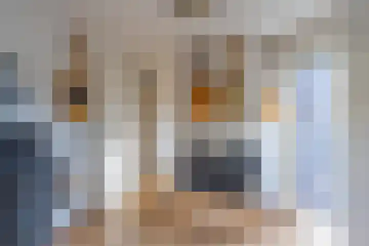 de Schouw 104 Tiel thumbnail 57
