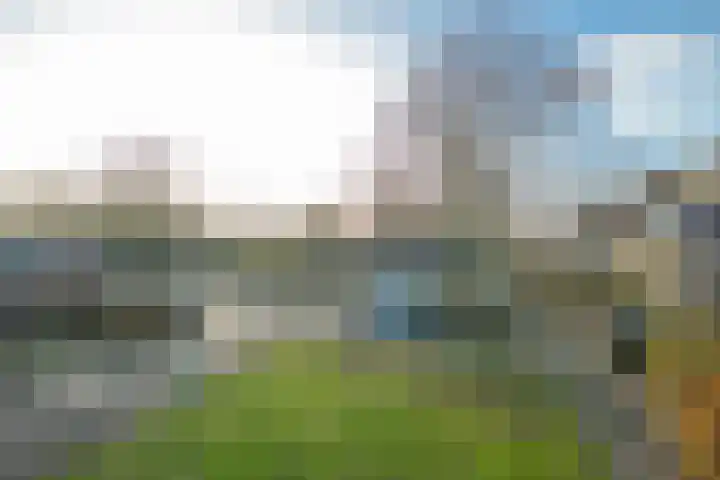 de Schouw 104 Tiel thumbnail 6
