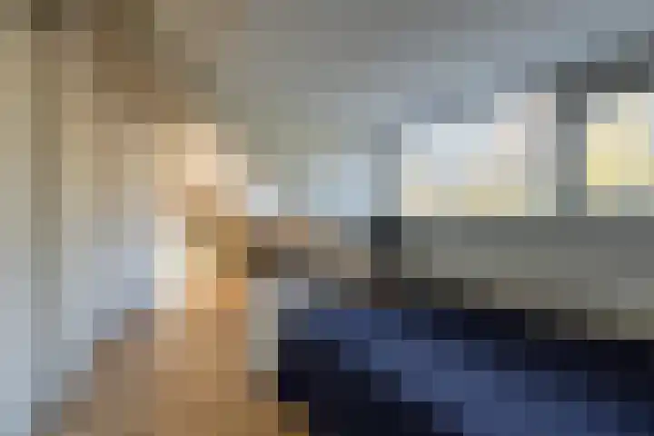 de Schouw 104 Tiel thumbnail 65