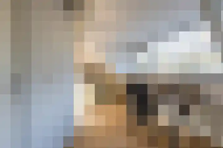 de Schouw 104 Tiel thumbnail 66
