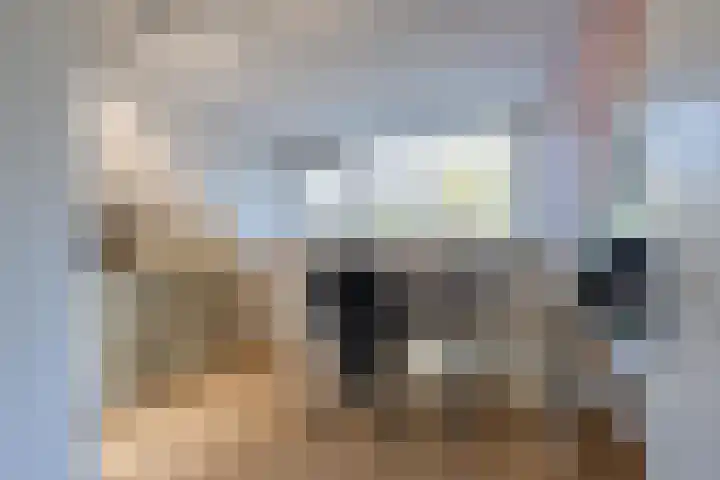 de Schouw 104 Tiel thumbnail 68