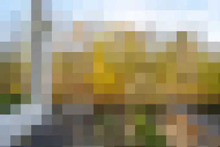 de Schouw 104 Tiel thumbnail 69