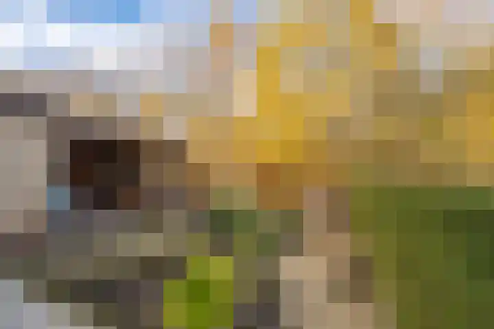 de Schouw 104 Tiel thumbnail 73