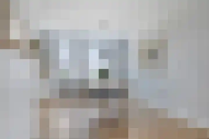 De Schouw 2 Oud Gastel thumbnail 10