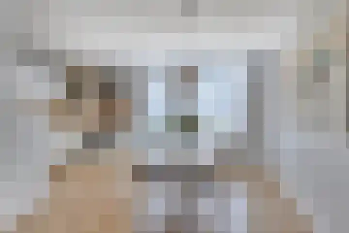 De Schouw 2 Oud Gastel thumbnail 12