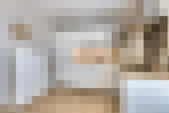 De Schouw 2 Oud Gastel thumbnail 14