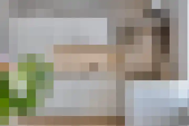 De Schouw 2 Oud Gastel thumbnail 15