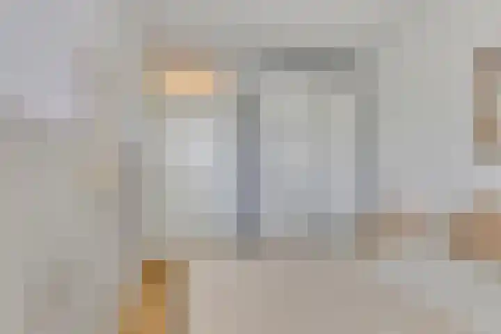 De Schouw 2 Oud Gastel thumbnail 17