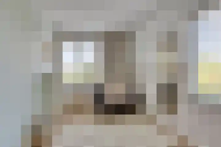 De Schouw 2 Oud Gastel thumbnail 20