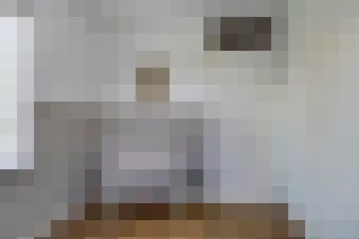 De Schouw 2 Oud Gastel thumbnail 21