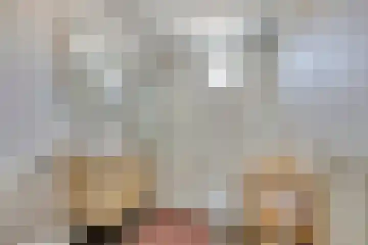 De Schouw 2 Oud Gastel thumbnail 22