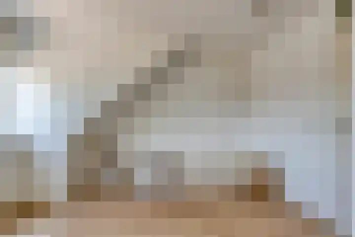 De Schouw 2 Oud Gastel thumbnail 25