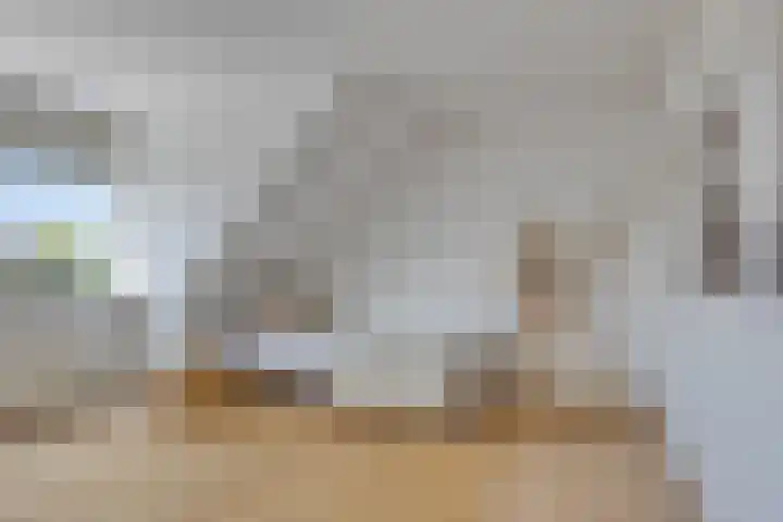 De Schouw 2 Oud Gastel thumbnail 26