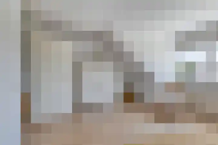 De Schouw 2 Oud Gastel thumbnail 27
