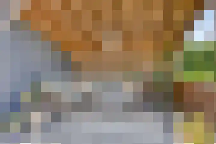 De Schouw 2 Oud Gastel thumbnail 29