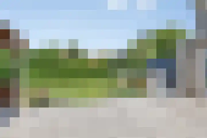 De Schouw 2 Oud Gastel thumbnail 30