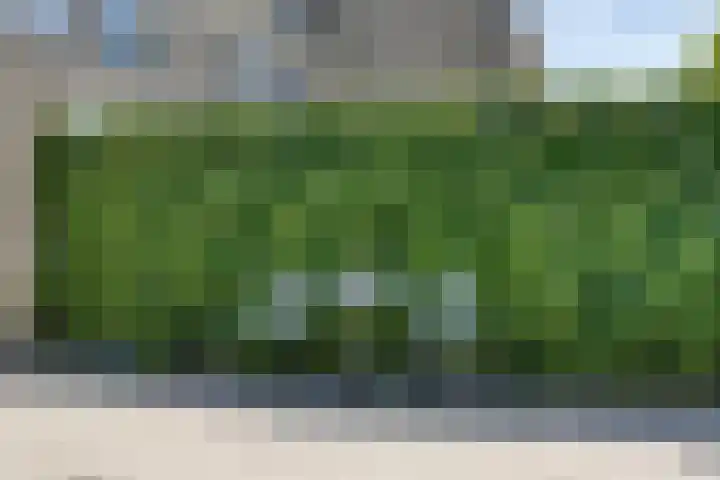 De Schouw 2 Oud Gastel thumbnail 32