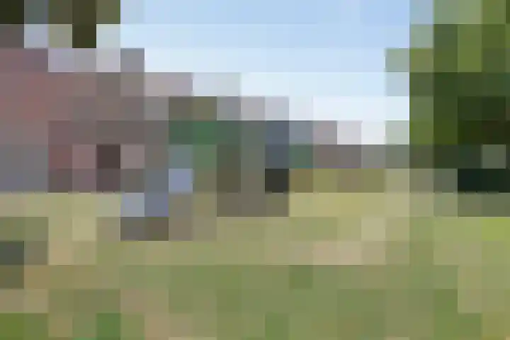 De Schouw 2 Oud Gastel thumbnail 37