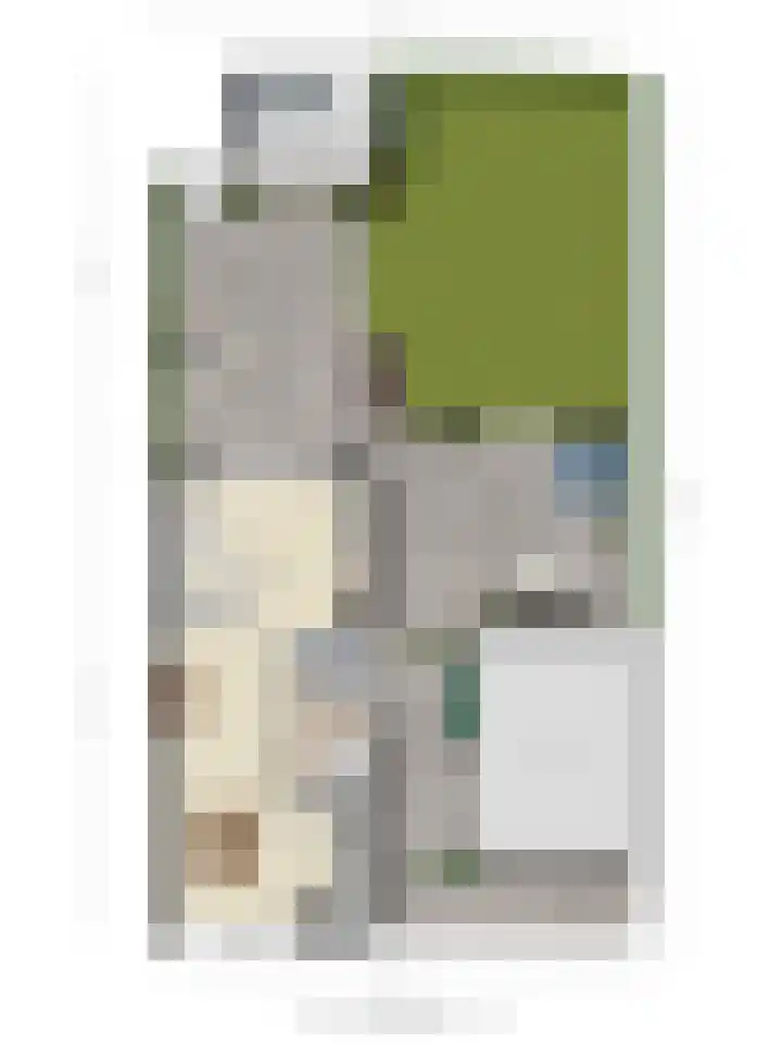 De Schouw 2 Oud Gastel thumbnail 38