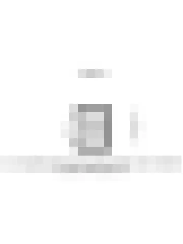 De Schouw 2 Oud Gastel thumbnail 43