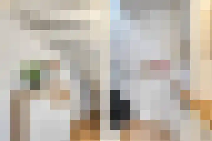 De Schouw 2 Oud Gastel thumbnail 6