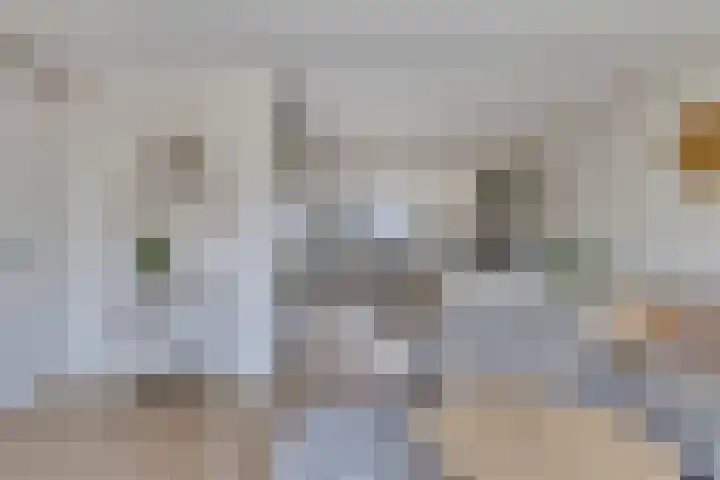 De Schouw 2 Oud Gastel thumbnail 7