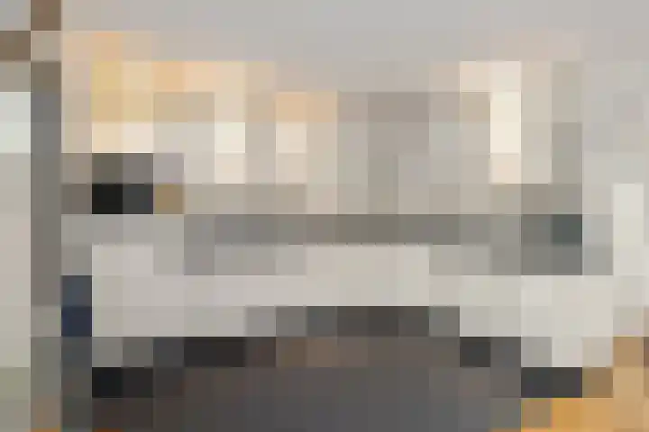 de Schouw 25 Raalte thumbnail 13
